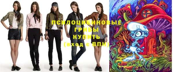 apvp Балахна