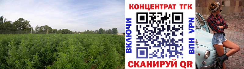 где купить   Нижние Серги  Дистиллят ТГК концентрат 